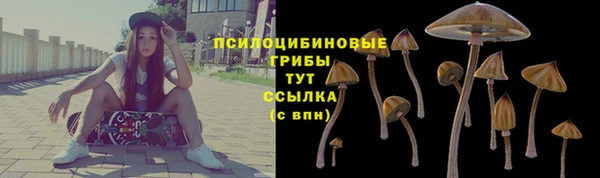 a pvp Заводоуковск
