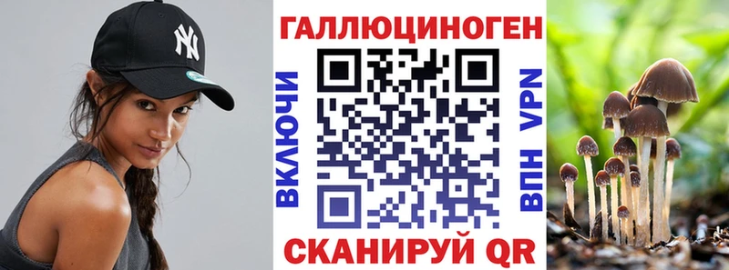 Псилоцибиновые грибы Psilocybe Заозёрск