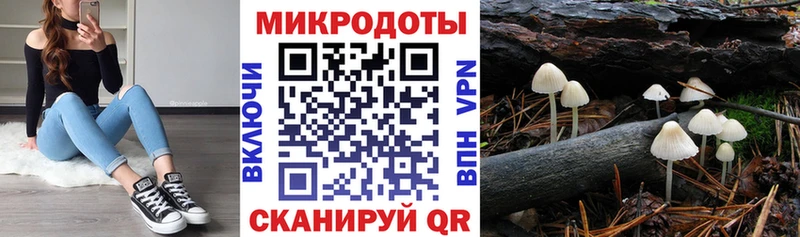 Купить где  Заозёрск  Псилоцибиновые грибы MAGIC MUSHROOMS 